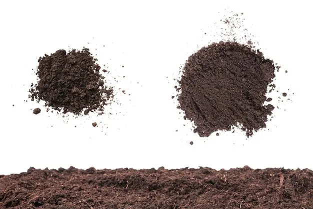 Composición del Suelo